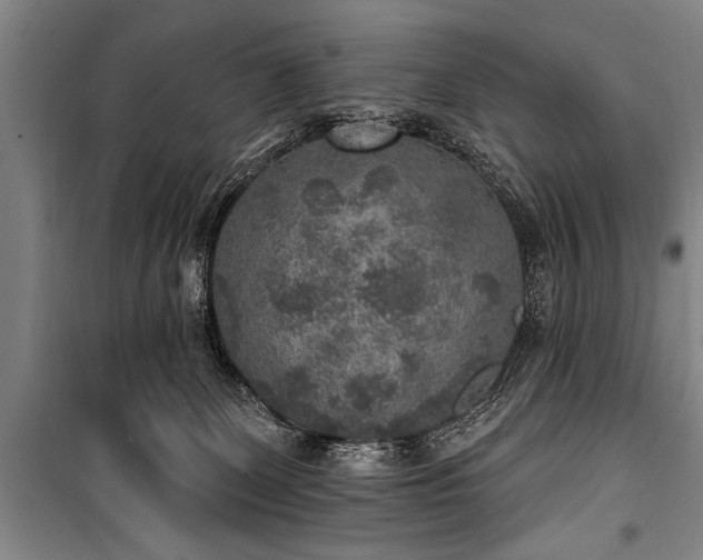 X0000101150131200806270952