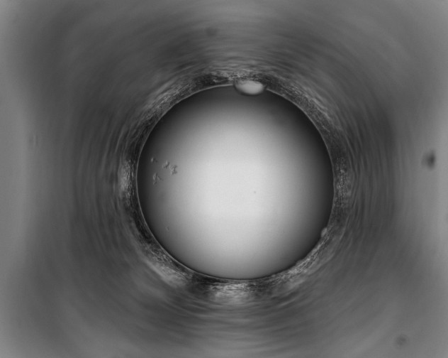 X0000101150132200806270952