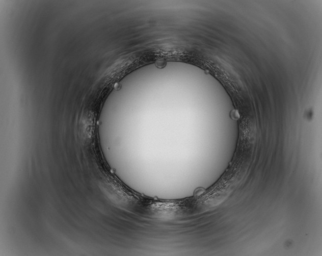 X0000101150133200806270952