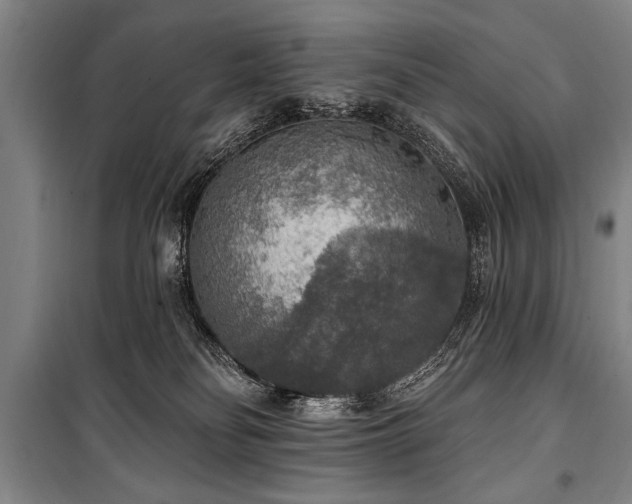 X0000101150134200806270952