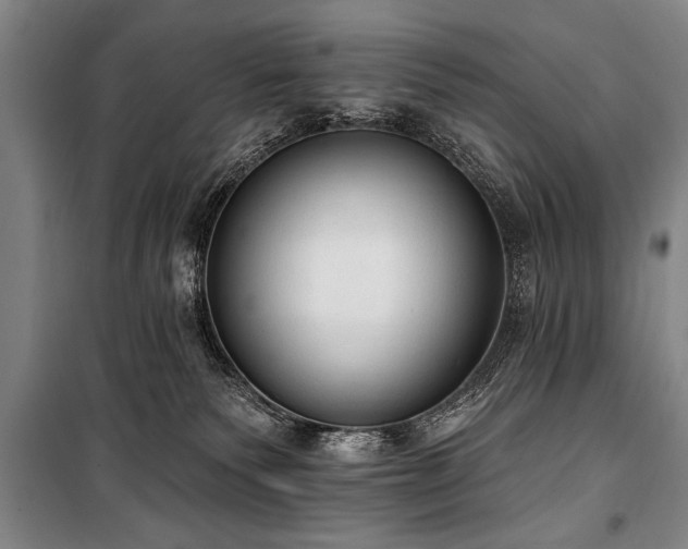 X0000101150135200806270952