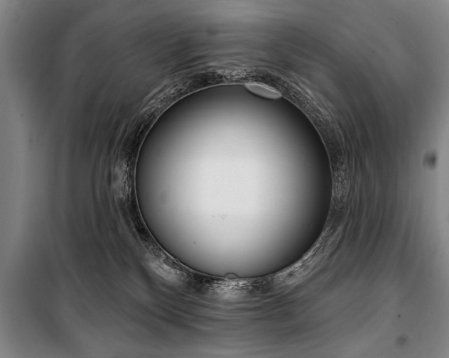 X0000101150136200806270952