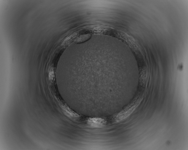 X0000101150137200806270952