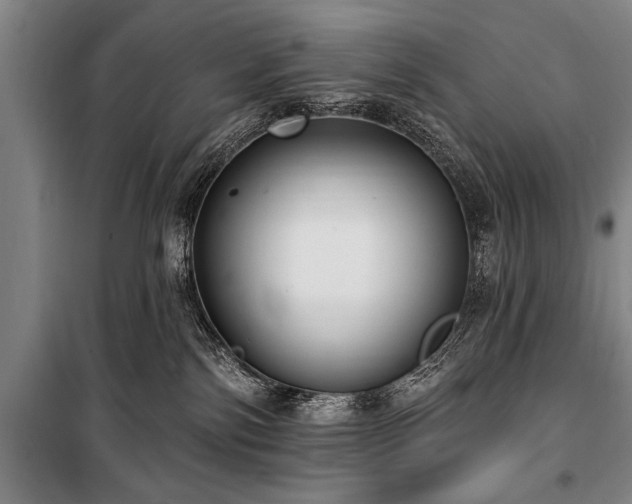 X0000101150138200806270952