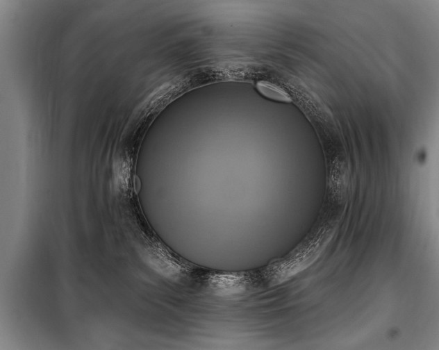 X0000101150139200806270952