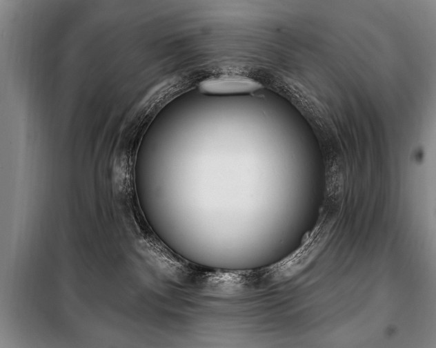 X0000101150140200806270952