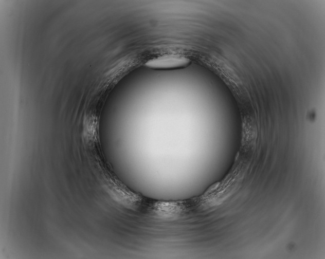 X0000101150141200806270952