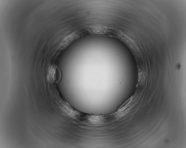 X0000101150142200806270952