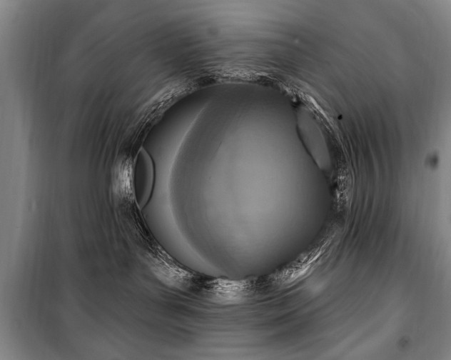 X0000101150143200806270952