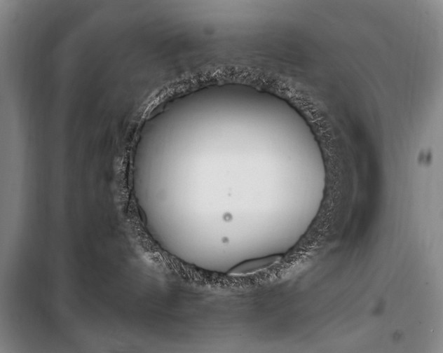 X0000101150144200806270952