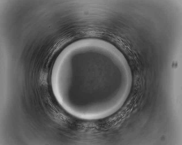 X0000101150146200806270951