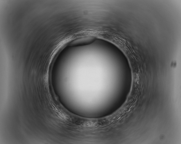 X0000101150148200806270951