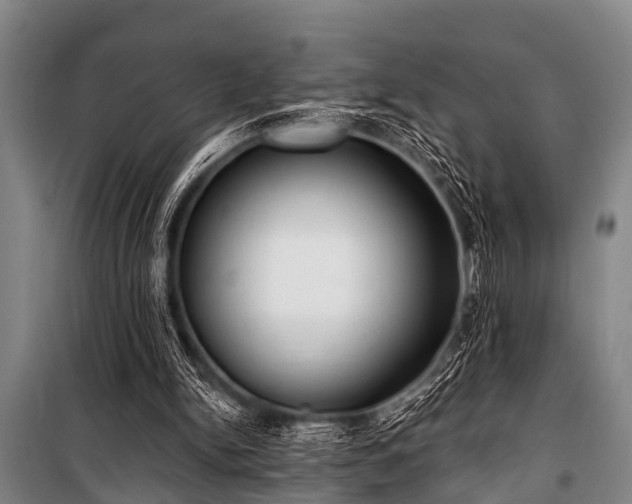 X0000101150150200806270951