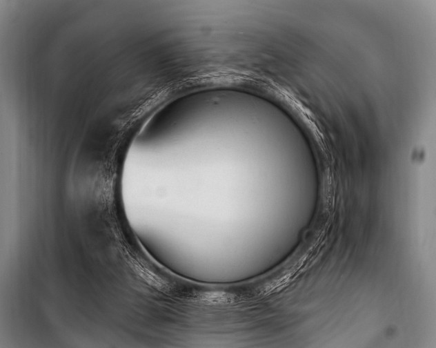 X0000101150153200806270951
