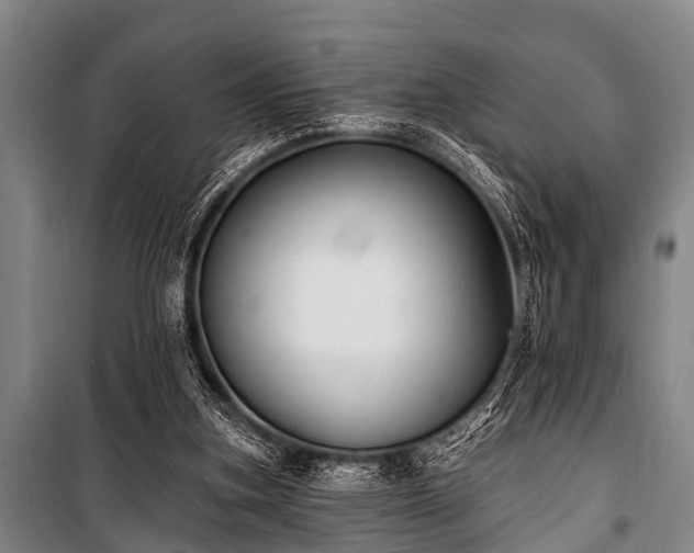 X0000101150155200806270951
