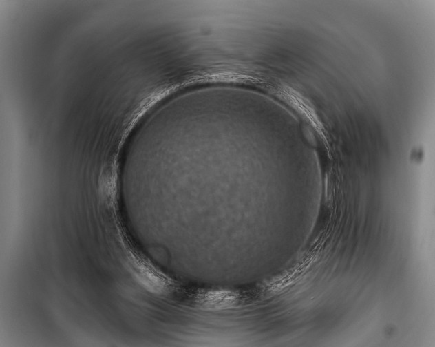 X0000101150156200806270951