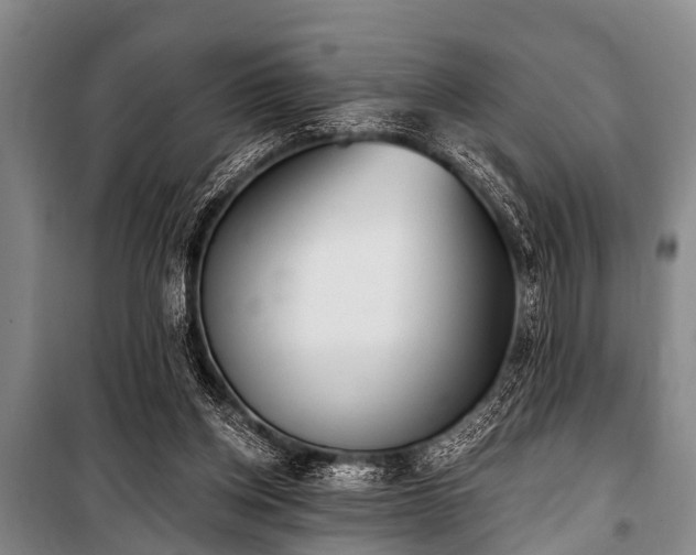 X0000101150158200806270951