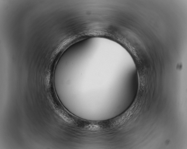 X0000101150159200806270951