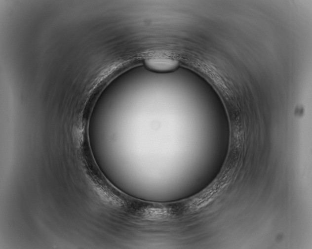 X0000101150160200806270951