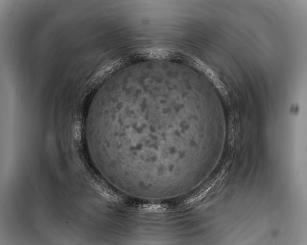 X0000101150161200806270951