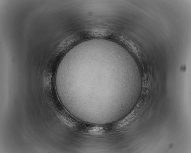 X0000101150162200806270951