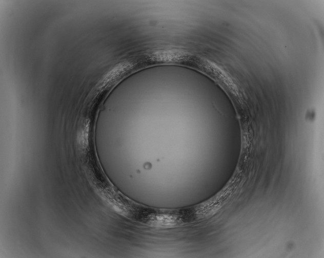 X0000101150163200806270951