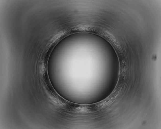 X0000101150164200806270951