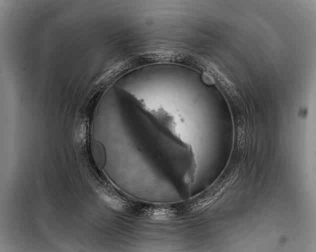 X0000101150165200806270951