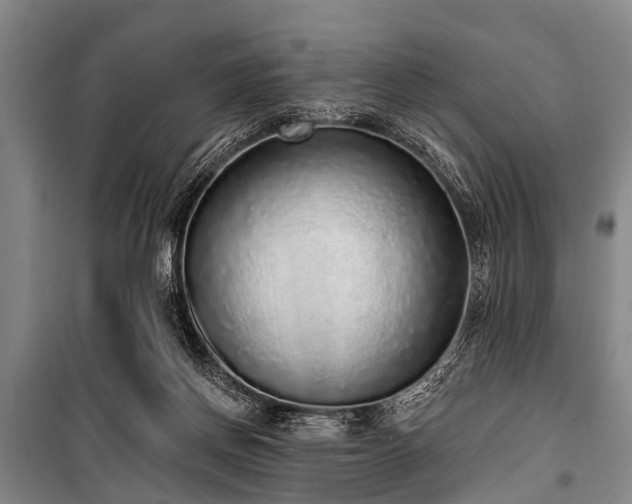 X0000101150166200806270951