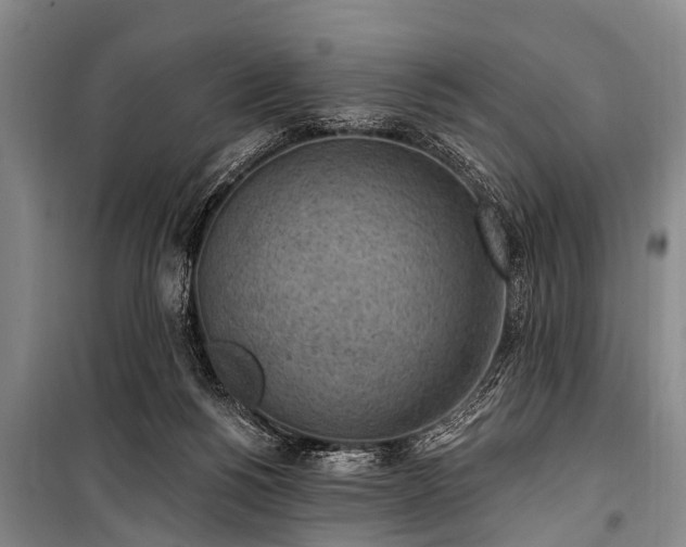 X0000101150168200806270951