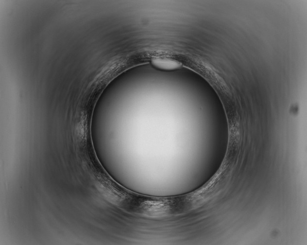 X0000101150170200806270951