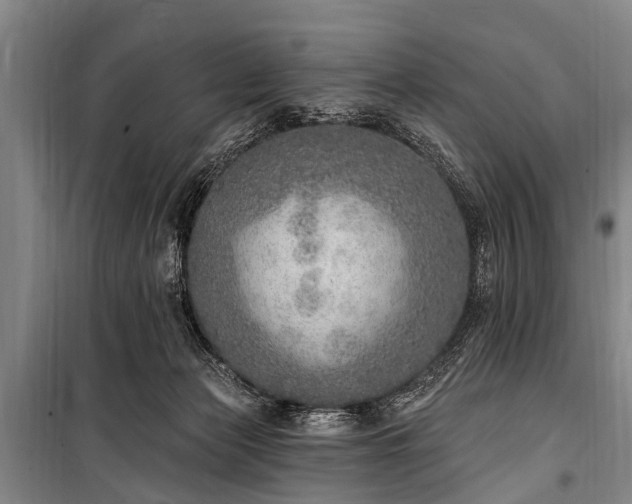 X0000101150173200806270951