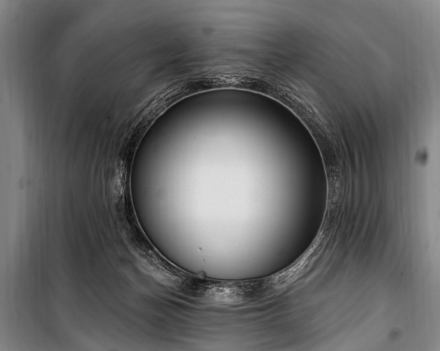 X0000101150174200806270951