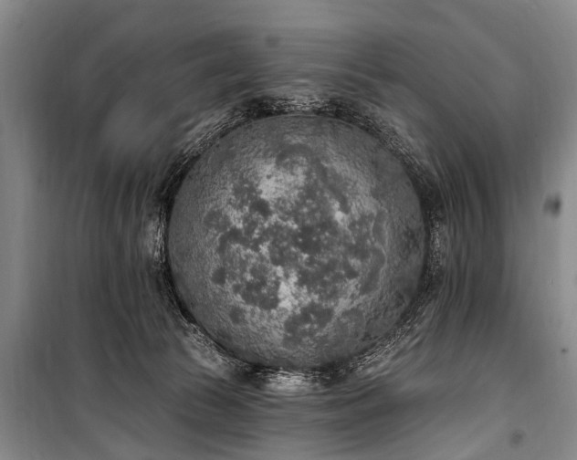 X0000101150177200806270951