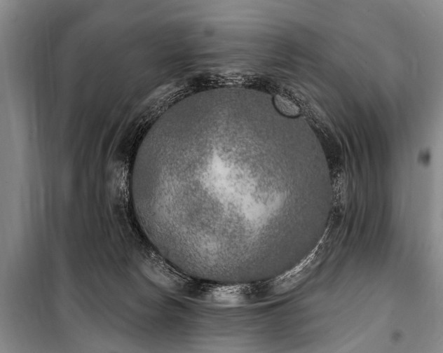 X0000101150178200806270951