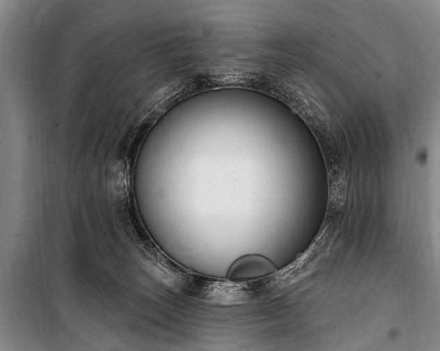 X0000101150179200806270951