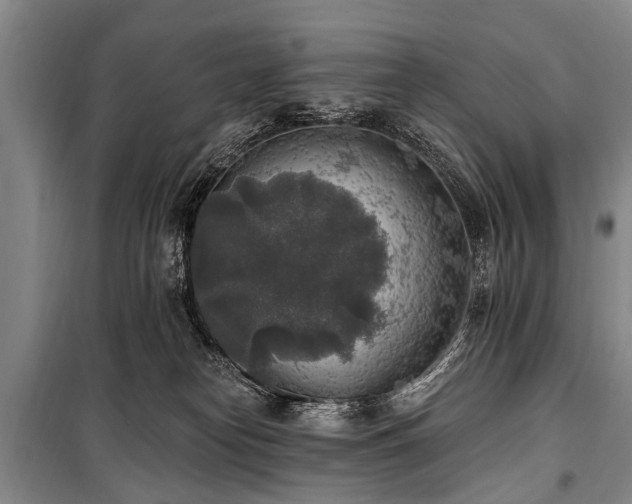 X0000101150182200806270951