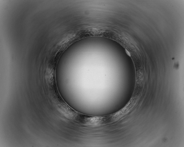 X0000101150184200806270951