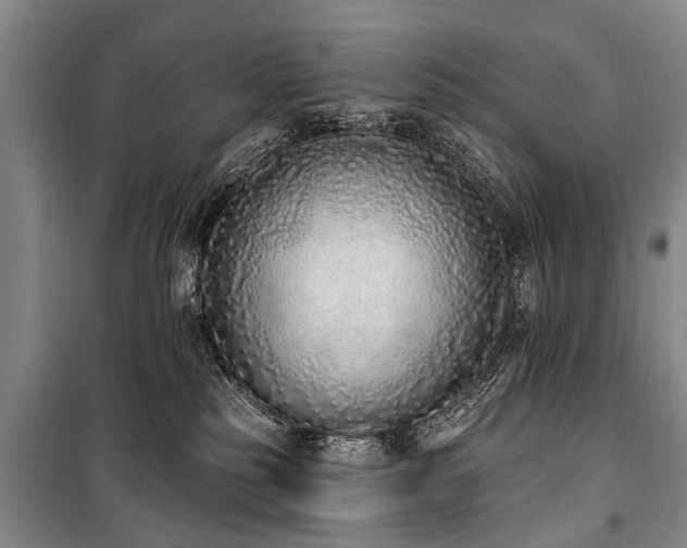 X0000101150185200806270952