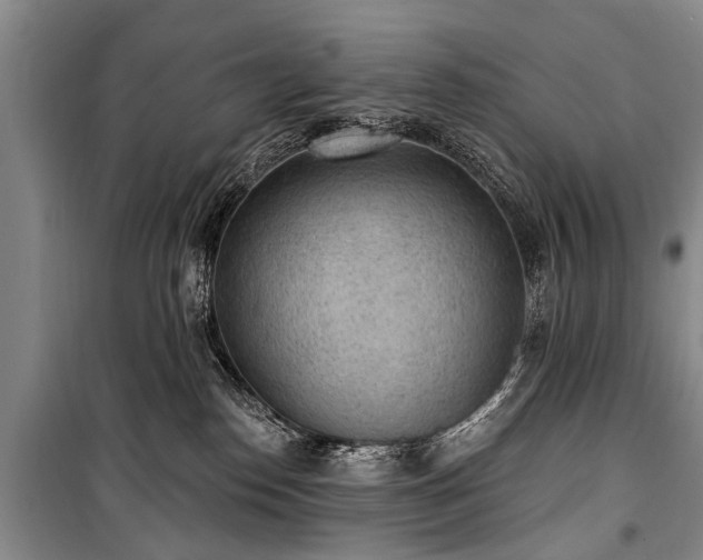 X0000101150186200806270952