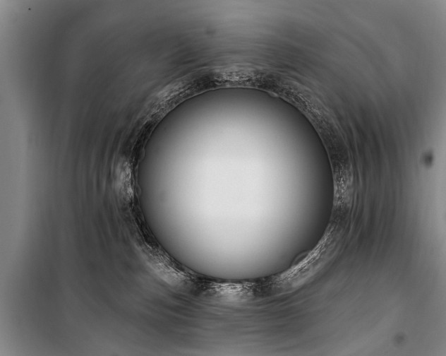 X0000101150187200806270952