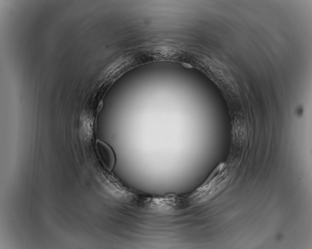 X0000101150188200806270952