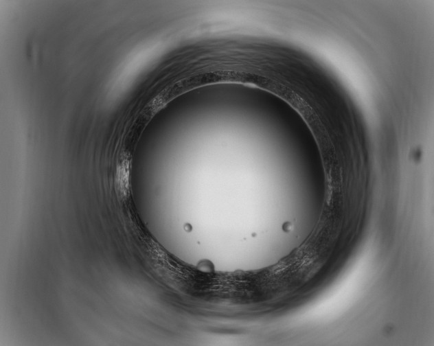 X0000101150190200806270952