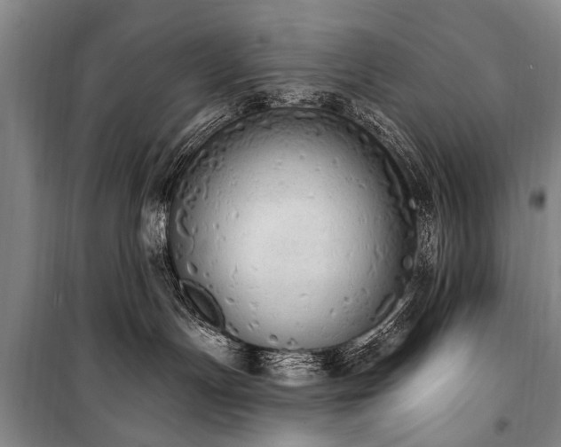 X0000101150191200806270952