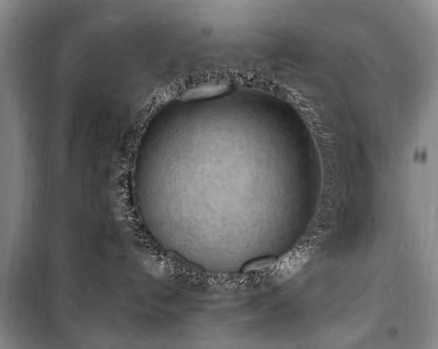 X0000101150192200806270952