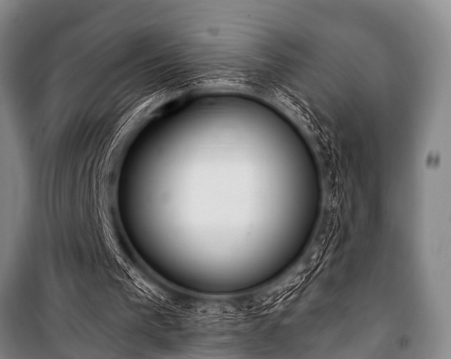 X0000101150193200806270951