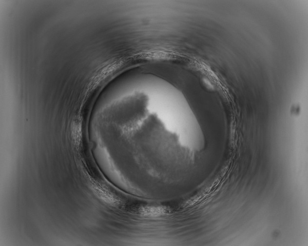 X0000101150202200806270951