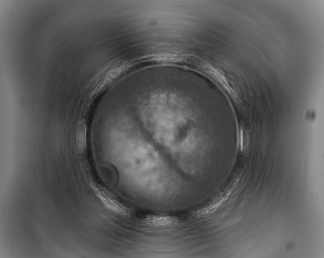 X0000101150205200806270951