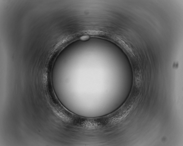X0000101150207200806270951