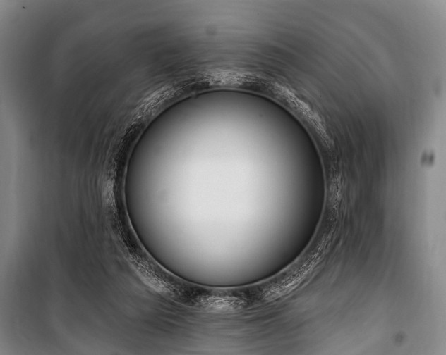 X0000101150209200806270951